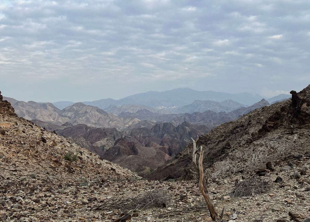 Breasy x Endorphins method Community Hike & Breathwork <br> Sat, 14th Mar